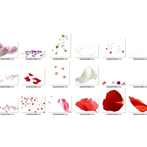 237 high-definition petal PNG transparent resources, a must-have for design